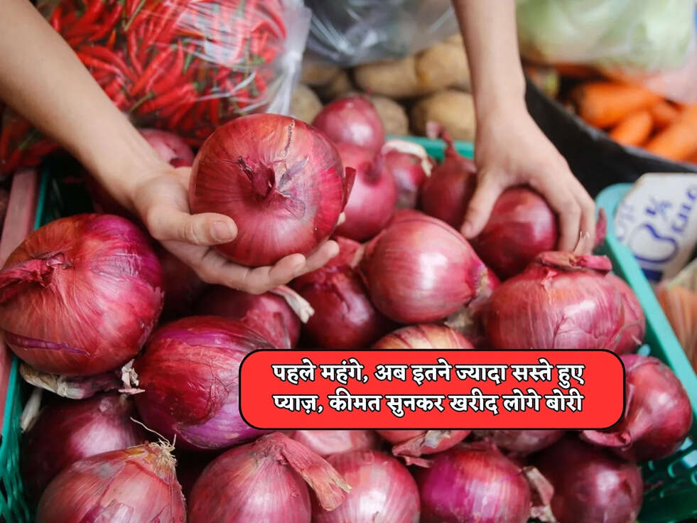 Onion Price : पहले महंगे, अब इतने ज्यादा सस्ते हुए प्याज़, कीमत सुनकर खरीद लोगे बोरी&nbsp;