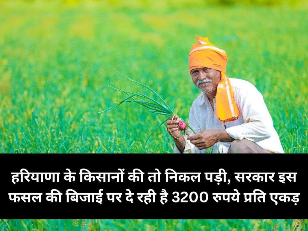 हरियाणा के किसानों की तो निकल पड़ी, सरकार इस फसल की बिजाई पर दे रही है 3200 रुपये प्रति एकड़
