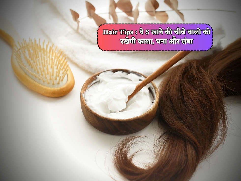 Hair Tips : ये 5 खाने की चीजे बालो को रखेगी काला, घना और लंबा 