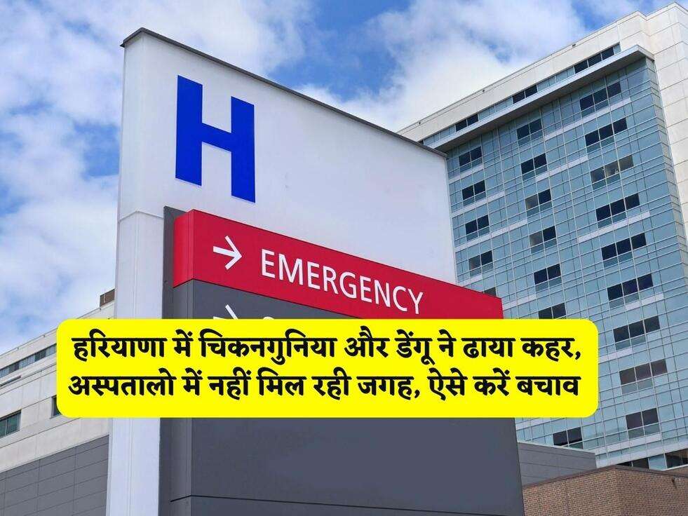 Haryana News : हरियाणा में चिकनगुनिया और डेंगू ने ढाया कहर, अस्पतालो में नहीं मिल रही जगह, ऐसे करें बचाव&nbsp;