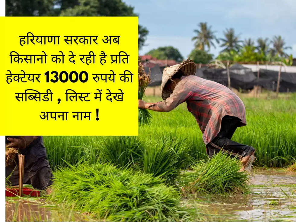 हरियाणा सरकार अब किसानो को दे रही है प्रति हेक्टेयर 13000 रुपये की सब्सिडी , लिस्ट में देखे अपना नाम !