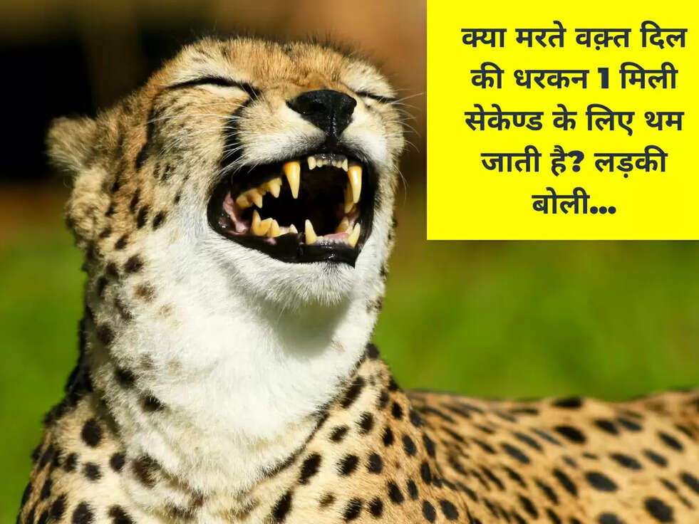 क्या मरते वक़्त दिल की धरकन 1 मिली सेकेण्ड के लिए थम जाती है? लड़की बोली...