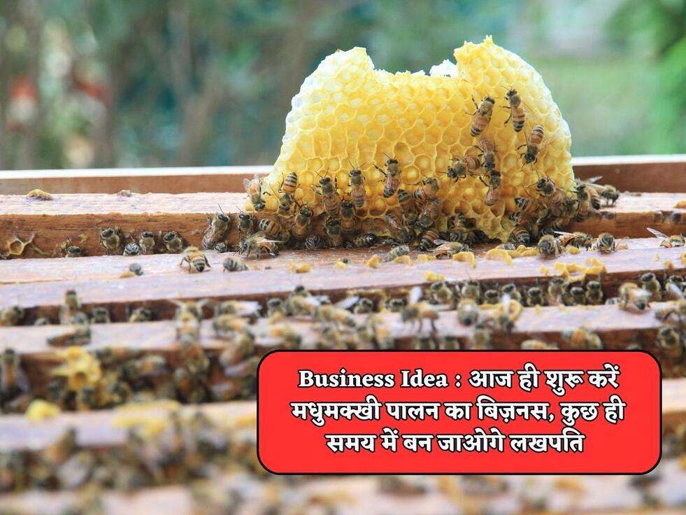 Business Idea : आज ही शुरू करें मधुमक्खी पालन का बिज़नस, कुछ ही समय में बन जाओगे लखपति&nbsp;