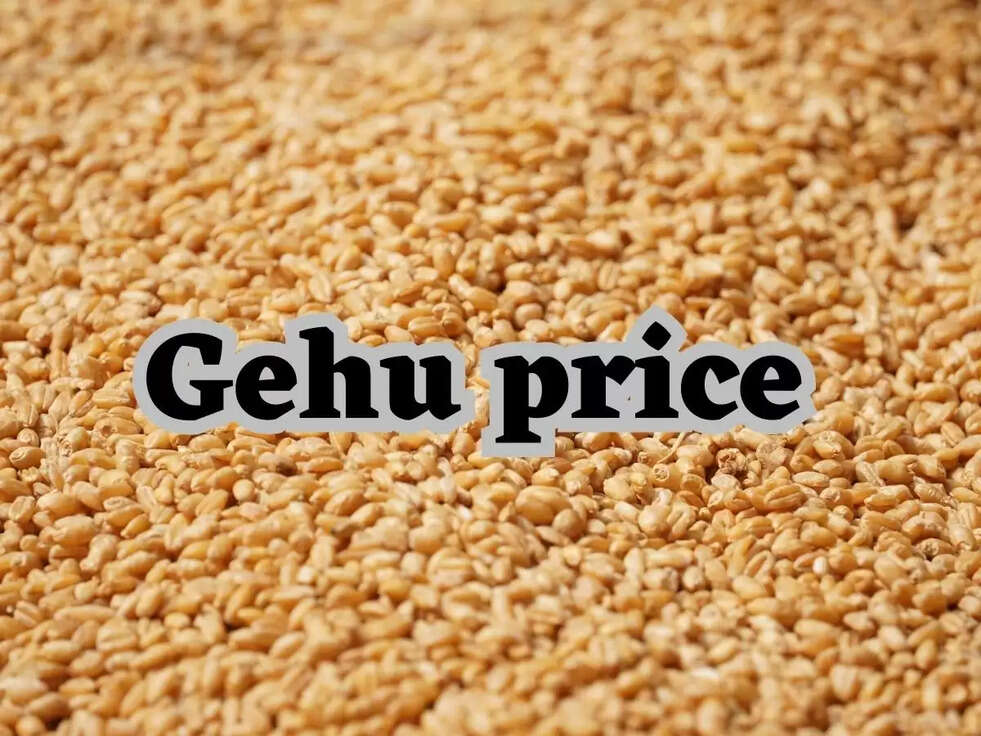 Haryana Gehu price: इस मंडी में गेंहू बिका 4000 पार, देखिए पूरी डिटेल