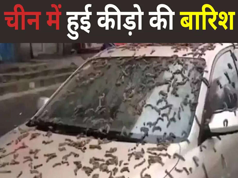 चीन में हुई कीड़ो की बारिश, जानिए पूरी खबर&nbsp;