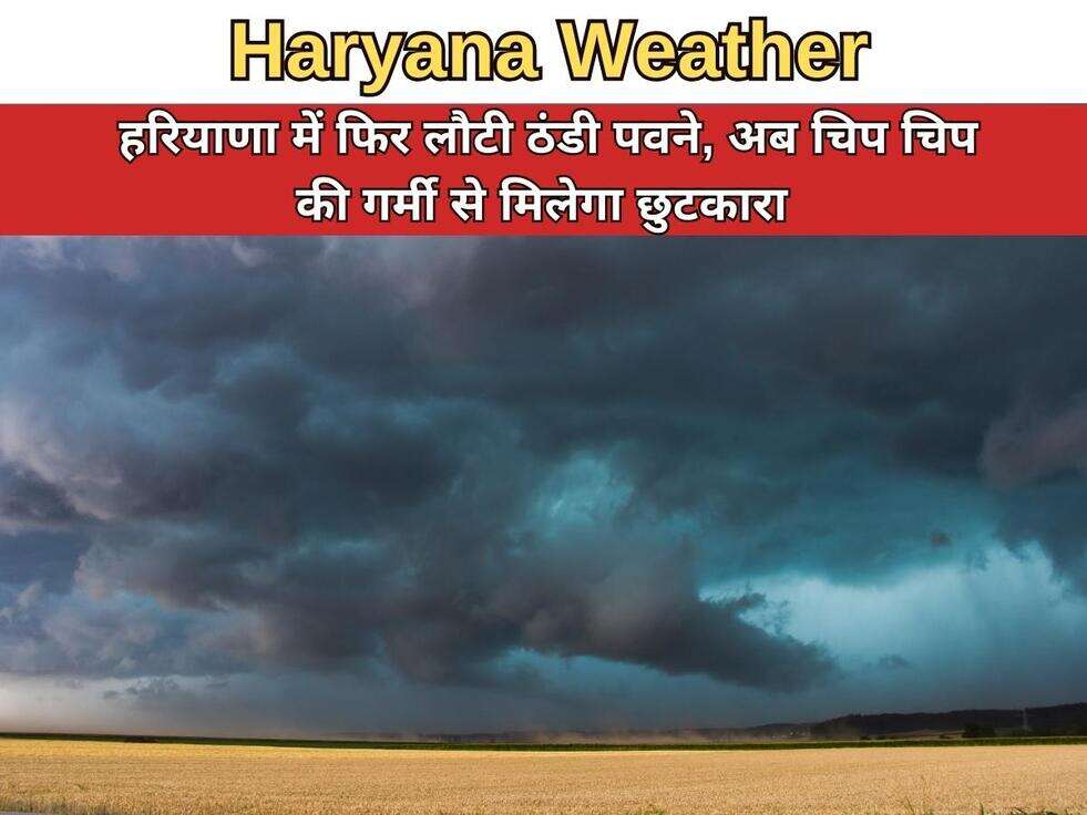 हरियाणा में फिर लौटी ठंडी पवने, अब चिप चिप की गर्मी से मिलेगा छुटकारा 