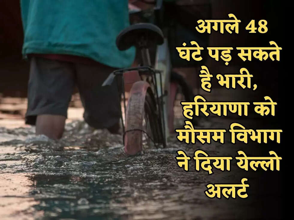 Haryana Weather News: अगले 48 घंटे पड़ सकते है भारी, हरियाणा को मौसम विभाग ने दिया येल्लो&nbsp;अलर्ट&nbsp;