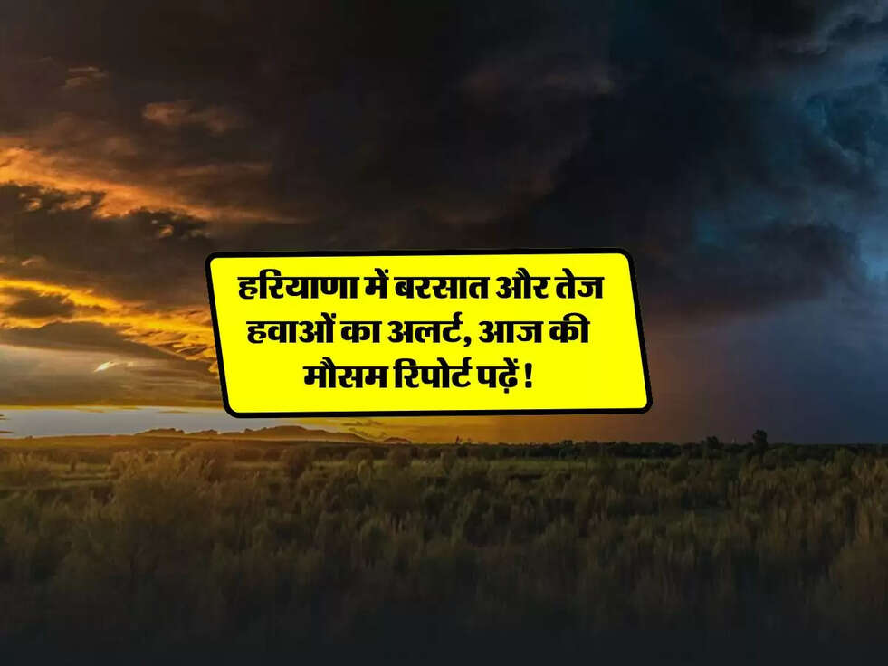 Haryana: हरियाणा में बरसात और तेज हवाओं का अलर्ट, आज की मौसम रिपोर्ट पढ़ें!