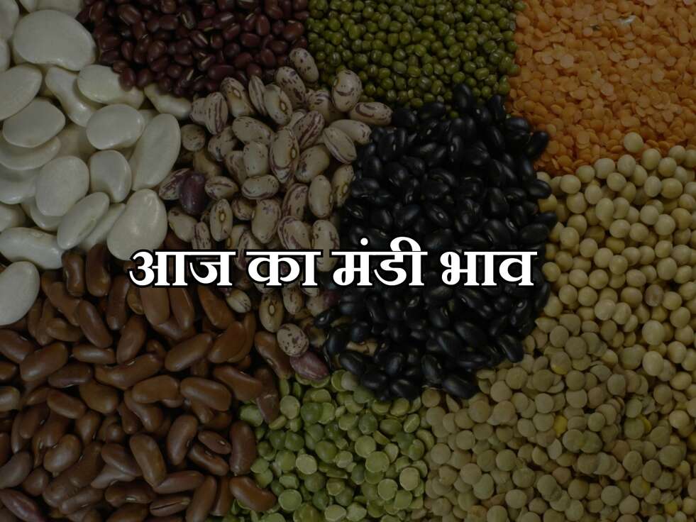 aaj ka mandi bhav