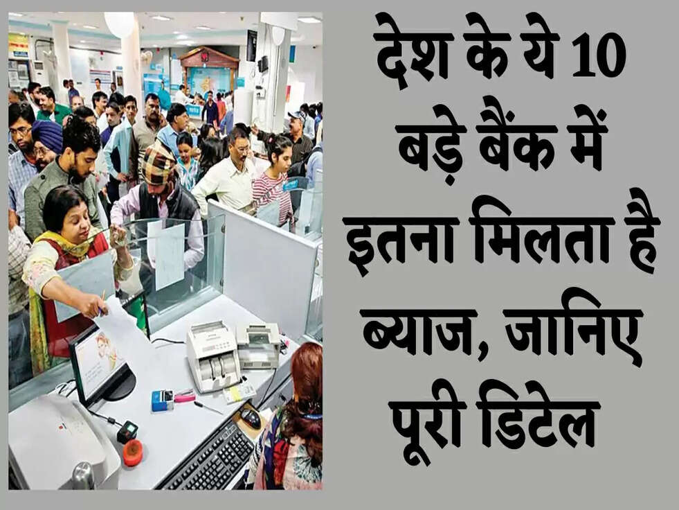 देश के ये 10 बड़े बैंक में इतना मिलता है ब्याज, जानिए पूरी डिटेल&nbsp;