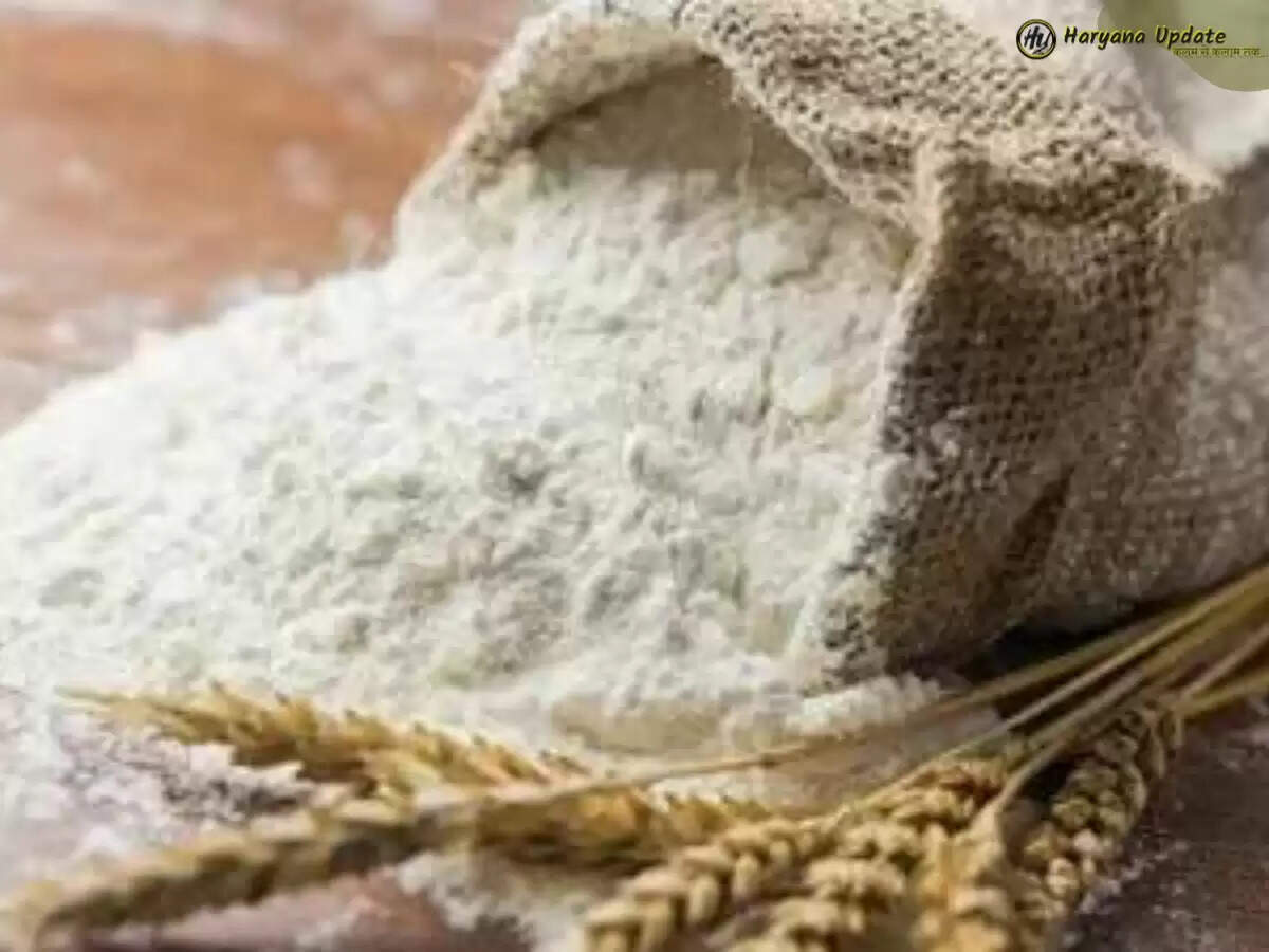 Wheat Flour Ban: मैदा-सूजी के साथ गेहूं के आटे के निर्यात पर भारत सरकार ने लगाई रोक&nbsp;