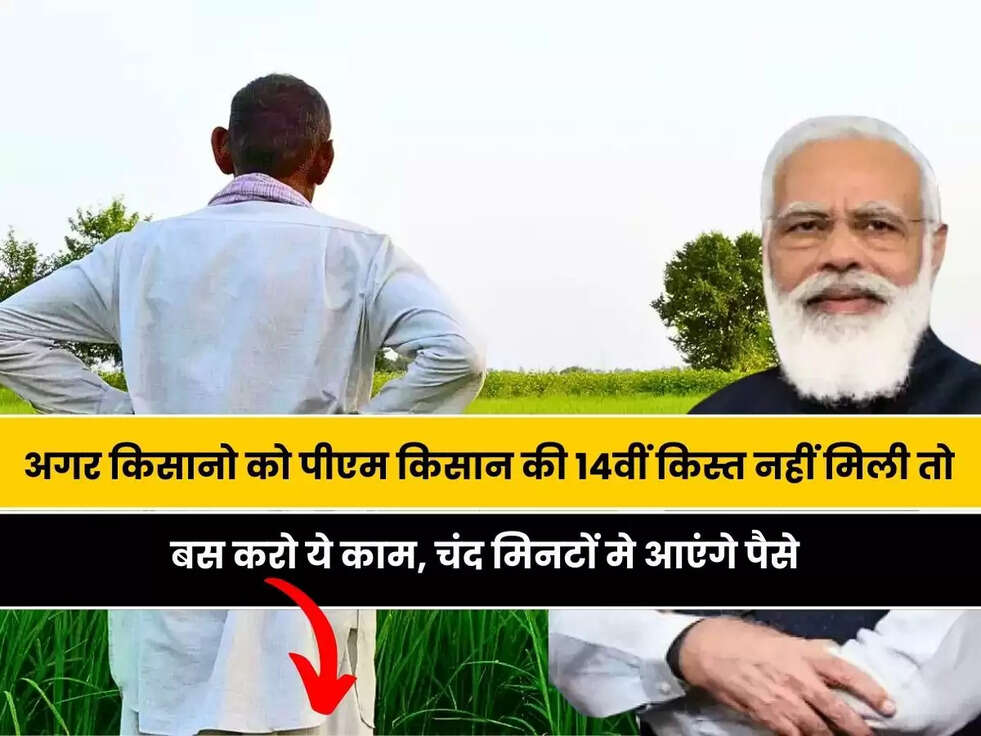 PM Kisan 14th Installment: अगर किसी किसान भाई को पीएम किसान की 14वीं किस्त नहीं मिली तो घबराइए मत, बस करो ये काम, चंद मिनटों मे आएंगे पैसे&nbsp;