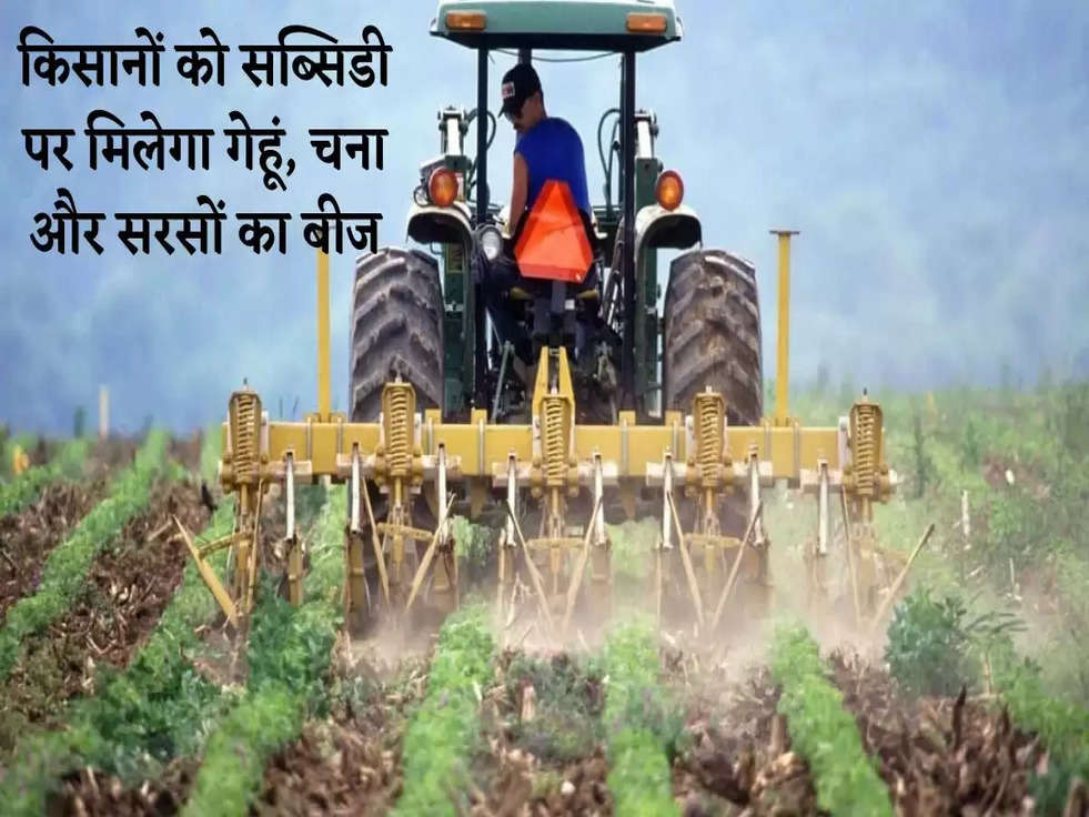 Rabi Crops Cultivation: किसानों को सब्सिडी पर मिलेगा गेहूं, चना और सरसों का बीज, ऐसे करें आवेदन