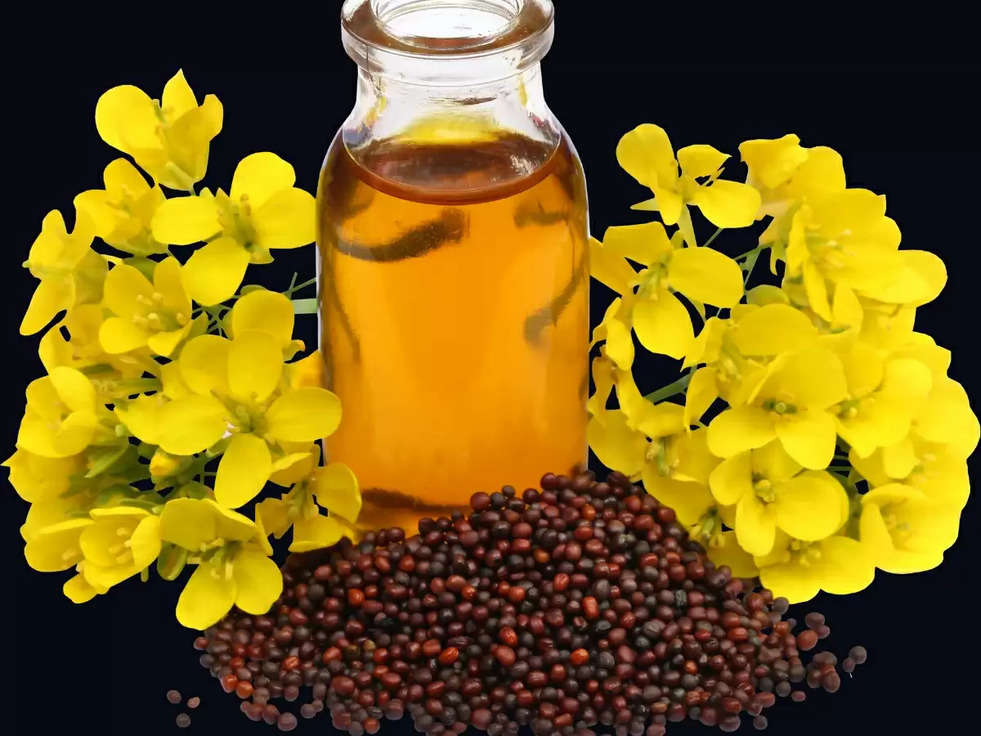 Mustard Oil Price: सरसों के तेल में आई गिरावट, जानिये कीमत 