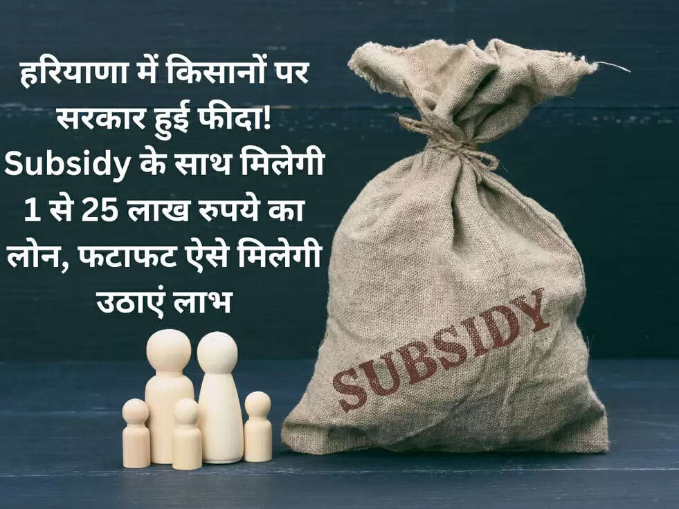 हरियाणा में किसानों पर सरकार हुई फीदा! Subsidy के साथ मिलेगी 1 से 25 लाख रुपये का लोन, फटाफट ऐसे मिलेगी उठाएं लाभ