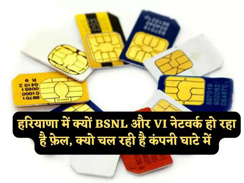 हरियाणा में क्यों&nbsp;BSNL और VI नेटवर्क हो रहा है फ़ेल, क्यो चल रही है कंपनी घाटे में&nbsp;