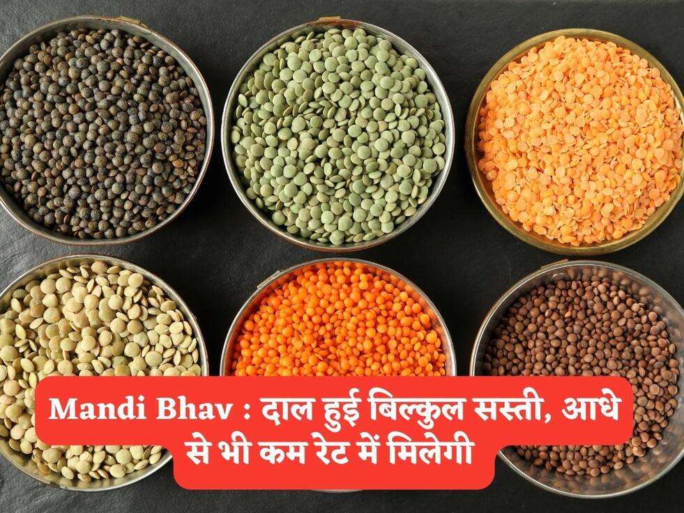 Mandi Bhav : दाल हुई बिल्कुल सस्ती, आधे से भी कम रेट में मिलेगी&nbsp;