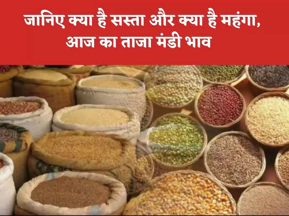 Today Mandi Bhav : जानिए क्या है सस्ता और क्या है महंगा, आज का ताजा मंडी भाव&nbsp;
