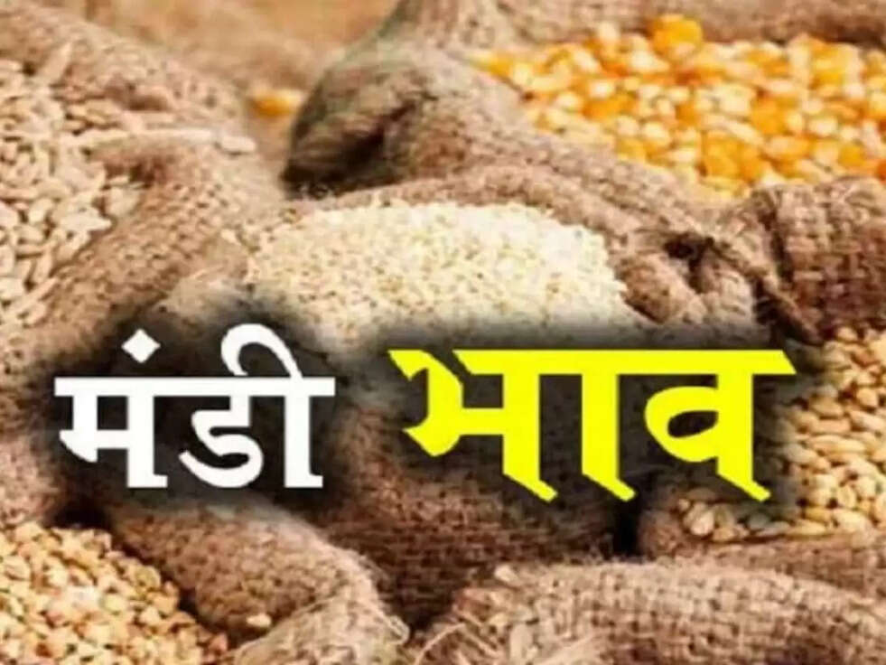 mandi bhav