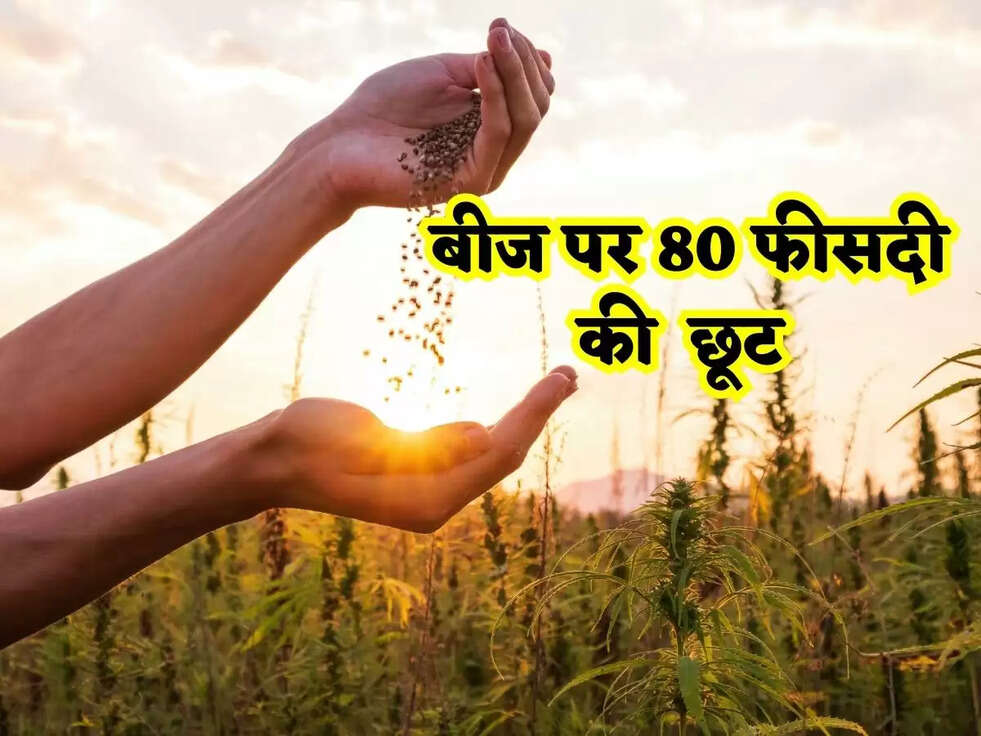 Beejo pe Discount: मुख्यमंत्री शिवराज सिंह चौहान ने कहा&nbsp;80 फीसदी छूट पर मिलेंगे ये उन्नत बीज, किसानो को मिलेगी अब राहत की सांस&nbsp;