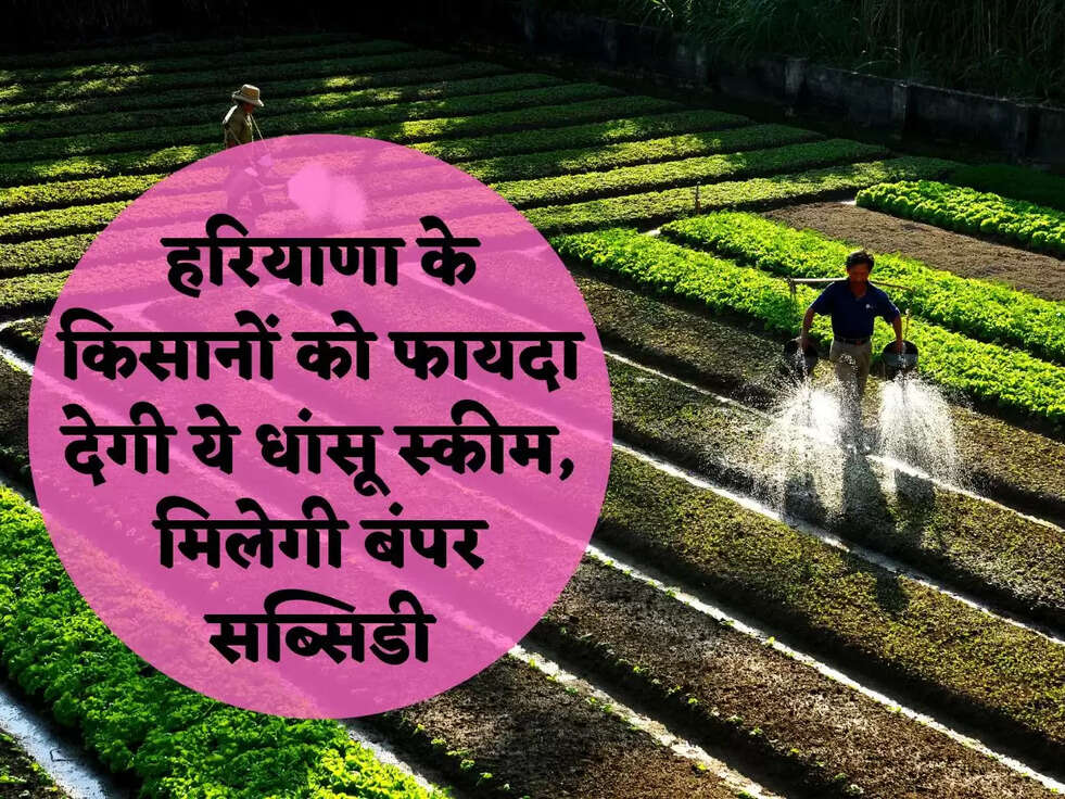 हरियाणा के किसानों को फायदा देगी ये धांसू स्कीम, मिलेगी बंपर सब्सिडी
