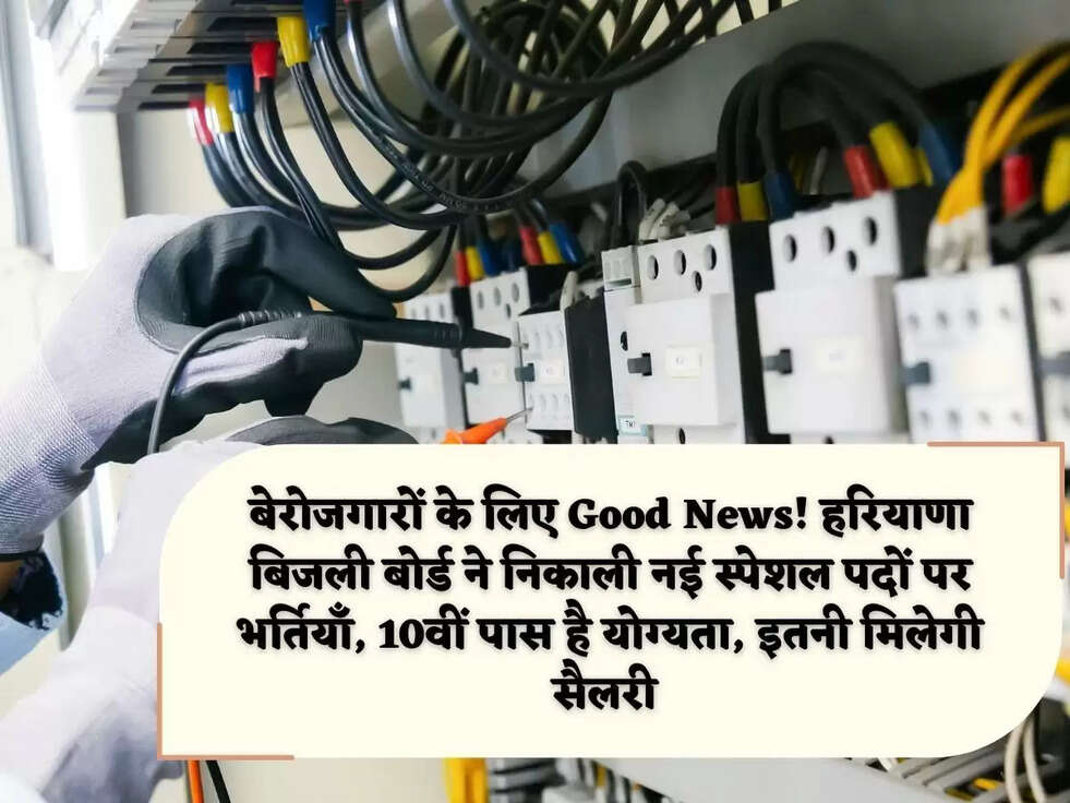 बेरोजगारों के लिए Good News! हरियाणा बिजली बोर्ड ने निकाली नई स्पेशल पदों पर भर्तियाँ, 10वीं पास है योग्यता, इतनी मिलेगी सैलरी&nbsp;