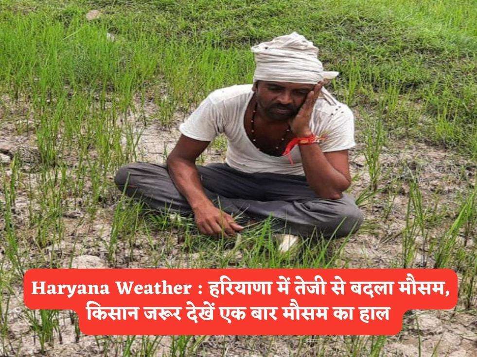 Haryana Weather : हरियाणा में तेजी से बदला मौसम, किसान जरूर देखें एक बार मौसम का हाल 