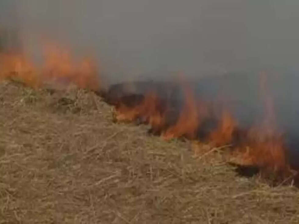 अब पंजाब के शहरों में भी शुरू हुआ वायु प्रदूषण का कहर, हालात हुए कंट्रोल से बाहर &nbsp; &nbsp; &nbsp;