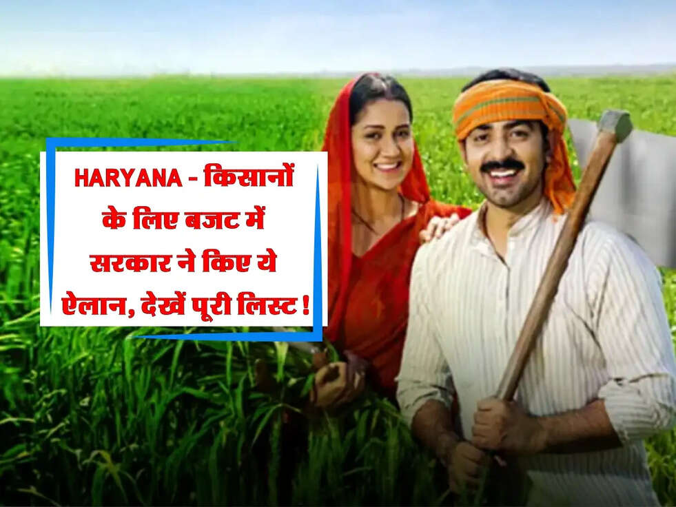 Haryana Budget 2025: किसानों के लिए बजट में सरकार ने किए ये ऐलान, देखें पूरी लिस्ट!