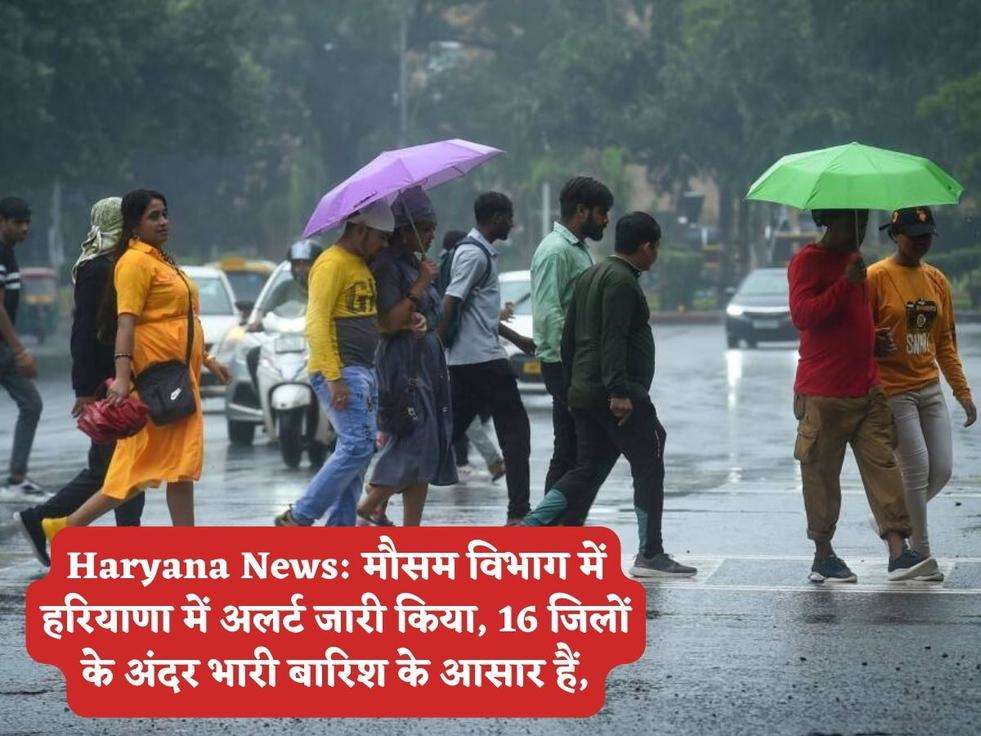 Haryana News: मौसम विभाग में हरियाणा में अलर्ट जारी किया, 16 जिलों के अंदर भारी बारिश के आसार हैं,