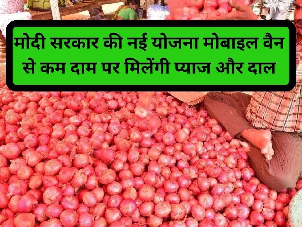  Onion price