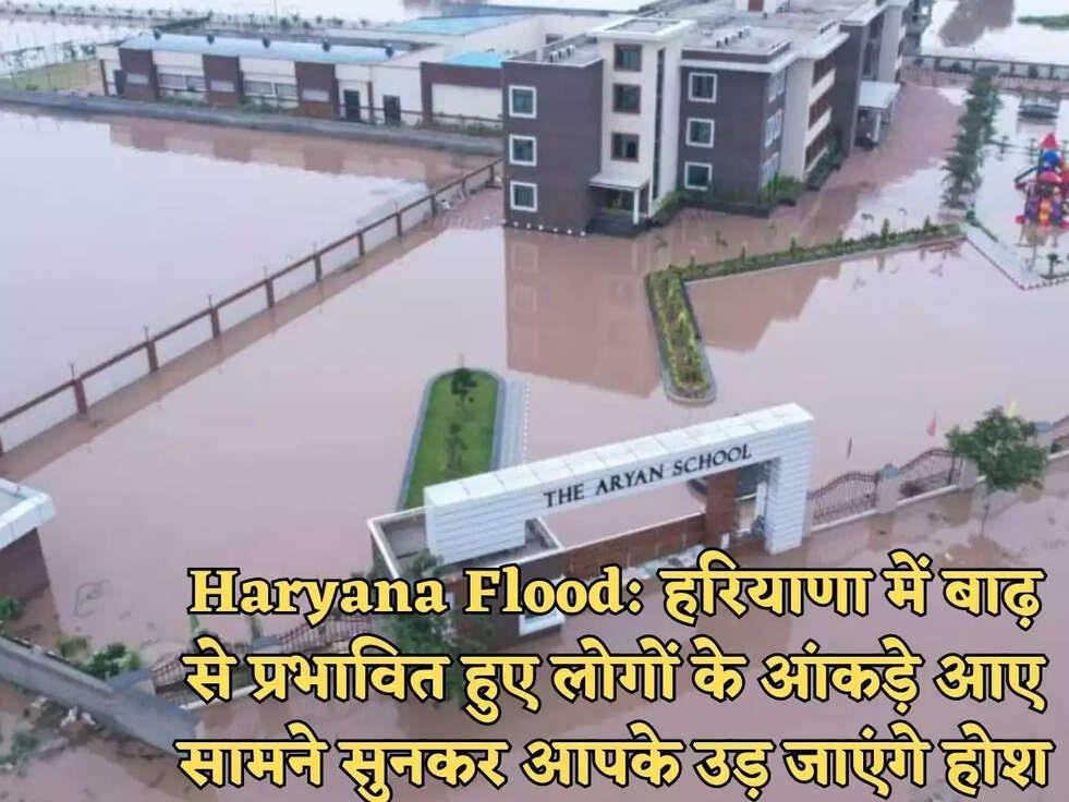 Haryana Flood:&nbsp;हरियाणा में बाढ़ से प्रभावित हुए लोगों के आंकड़े आए सामने सुनकर आपके उड़ जाएंगे होश