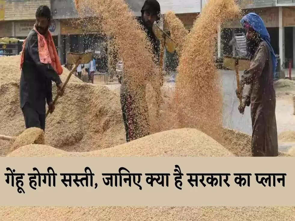 Wheat Price: गेंहू होगी सस्ती, जानिए क्या है सरकार का प्लान&nbsp;