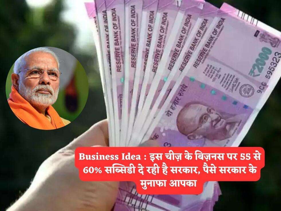Business Idea : इस चीज़ के बिज़नस पर 55 से 60% सब्सिडी दे रही है सरकार, पैसे सरकार के मुनाफा आपका&nbsp;
