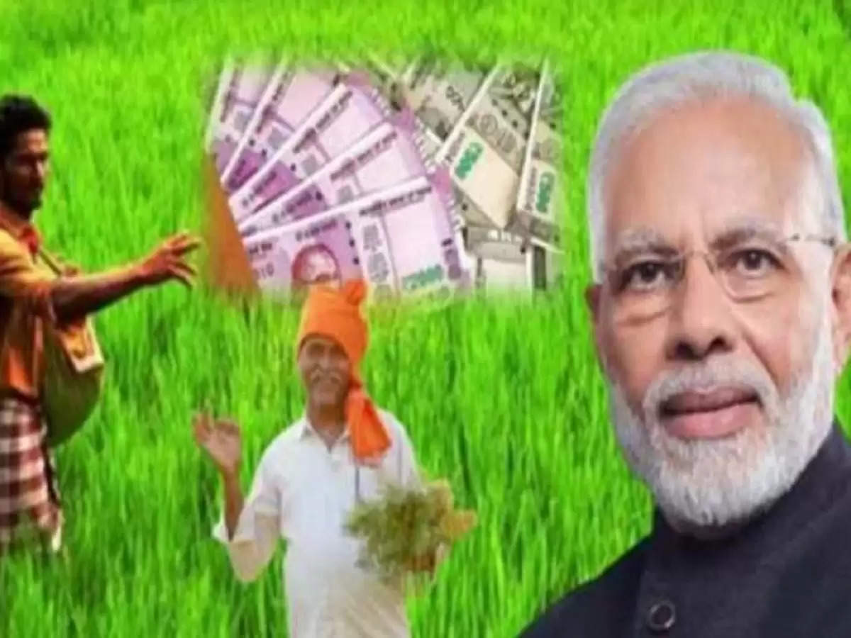 PM Kisan Yojna: Government's big update on the 11th installment, the process of recovery from the ineligible started, know