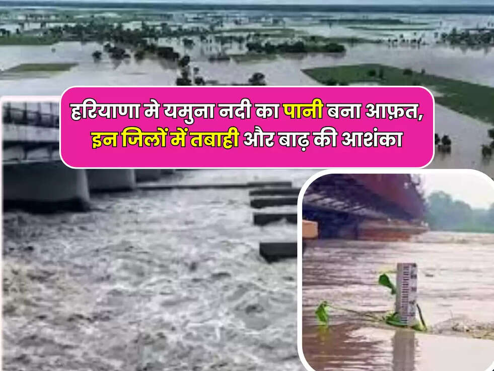 हरियाणा मे यमुना नदी का पानी बना आफ़त, इन जिलों में तबाही और बाढ़ की आशंका