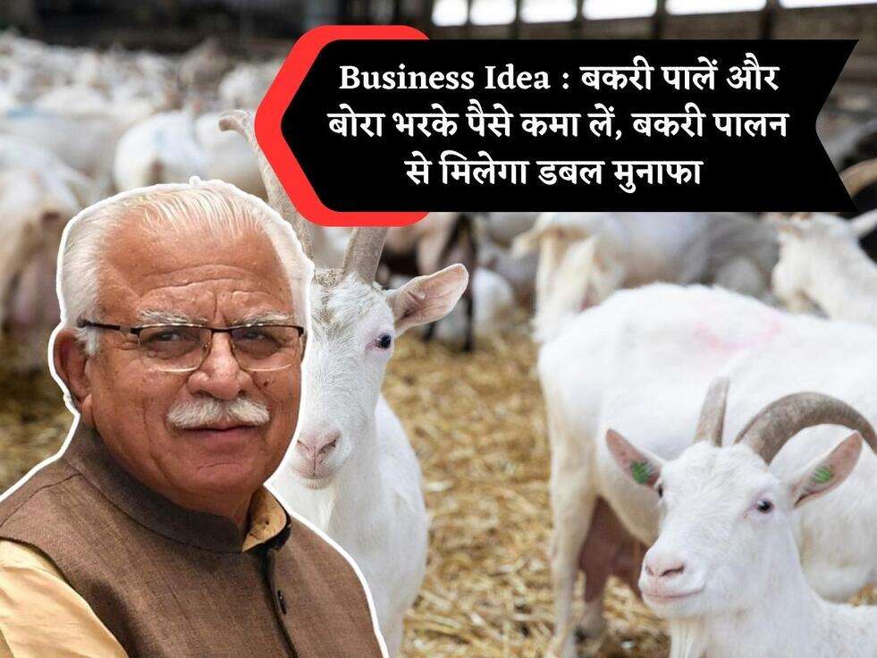 Business Idea : बकरी पालें और बोरा भरके पैसे कमा लें, बकरी पालन से मिलेगा डबल मुनाफा 