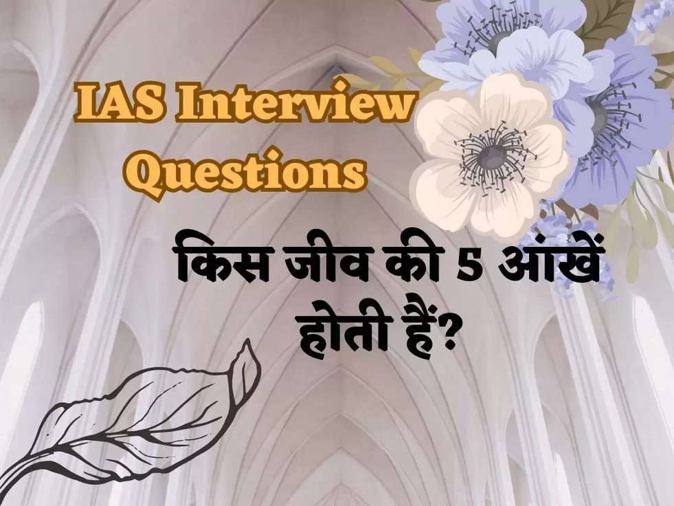 IAS Interview Questions