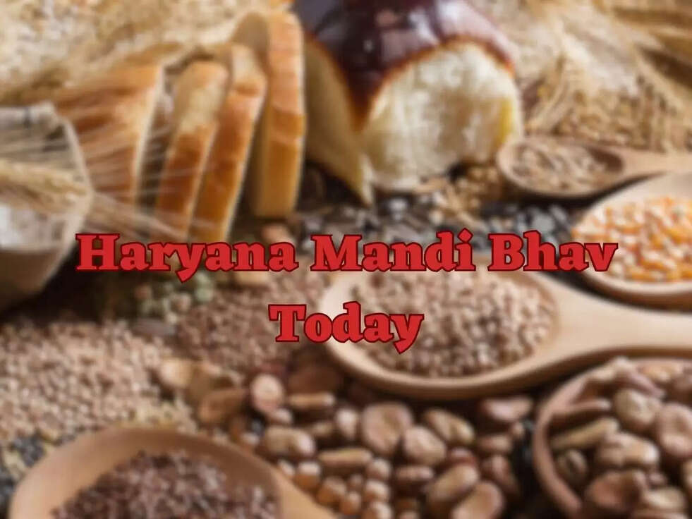 Haryana Mandi Bhav Today: हरियाणा में ये है आज का ताजा मंडी भाव, बाजरा, गेहूं, चना सबके भाव है उपलब्ध&nbsp;
