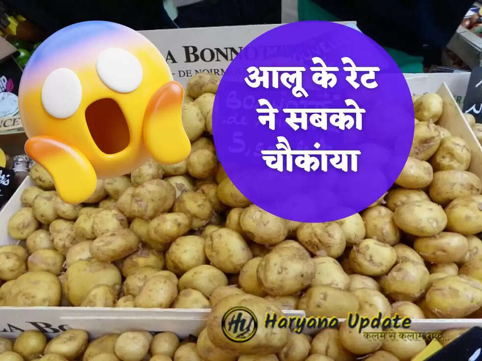 आलू के रेट ने सबको चौकांया
