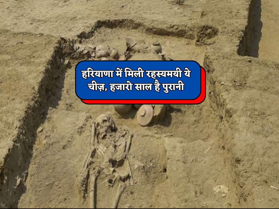 Haryana News : हरियाणा में मिली रहस्यमयी ये चीज़, हजारो साल है पुरानी&nbsp;