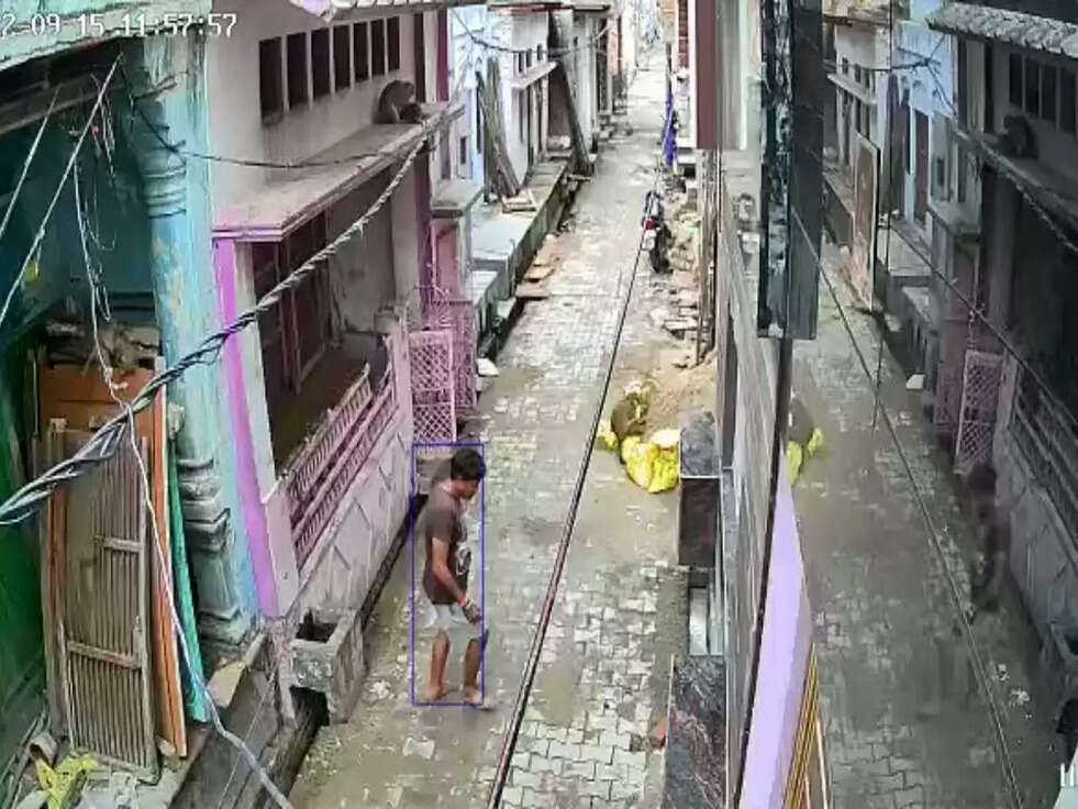 viral :बंदरो का बढ़ा आतंक,बच्ची को बचाने आए पिता पर बंदरों ने बोला हमला, वायरल हो रही वीडियो&nbsp;