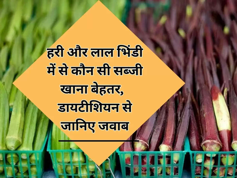 हरी और लाल भिंडी में से कौन सी सब्जी खाना बेहतर,  डायटीशियन से जानिए जवाब