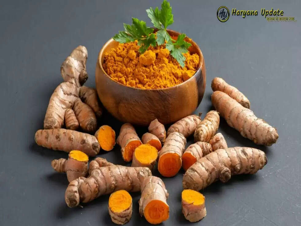 Business Idea: हर साल लाखों नहीं करोड़ों का फायदा देगी ये खेती, फोलो करें ये तरीका&nbsp;