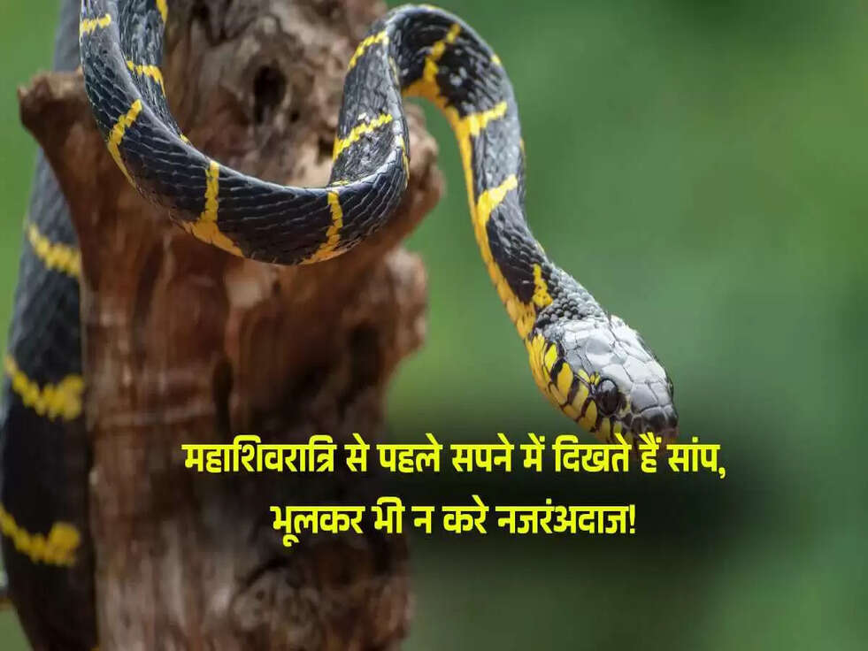 Swapna Shastra Of Snakem