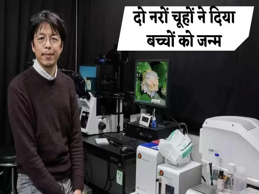 JAPAN: इतिहास में पहली बार दो नरों चूहों ने दिया बच्चों को जन्म