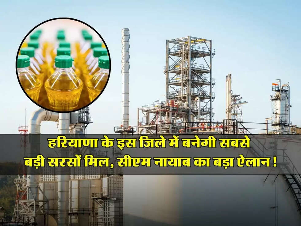 Haryana : हरियाणा के इस जिले में बनेगी सबसे बड़ी सरसों मिल, सीएम नायाब का बड़ा ऐलान!