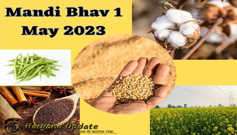 Mandi Bhav 1 May 2023