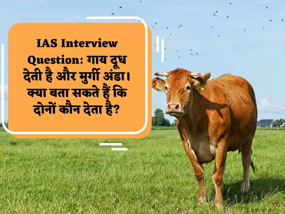 IAS Interview Question: गाय दूध देती है और मुर्गी अंडा। क्या बता सकते हैं कि दोनों कौन देता है?
