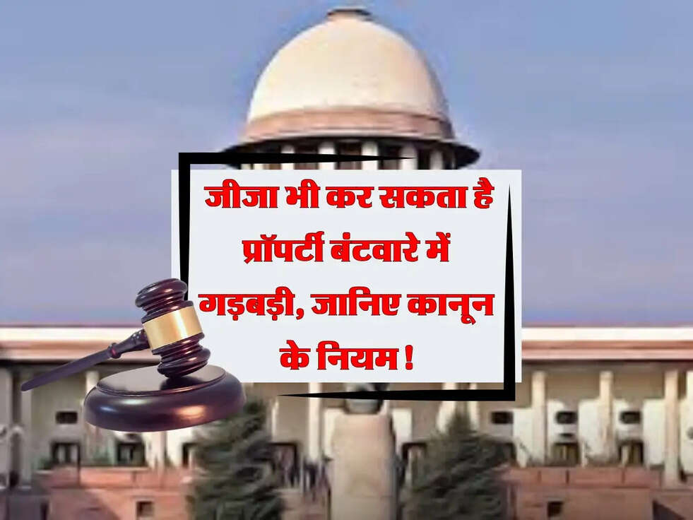 Property Rights: जीजा भी कर सकता है प्रॉपर्टी बंटवारे में गड़बड़ी, जानिए कानून के नियम!